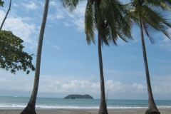 IMG_1097-Costa-Rica-Manuel-Antonio-NP-sendero-catedral-2