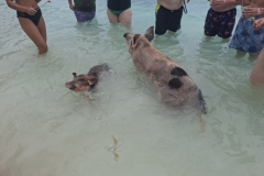 20250714-106-Hey-enjoy