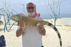 20250714-139-Anthol-Island-lizard