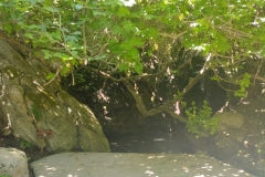 20220620-98-Polis-Baths-of-Aphrodite