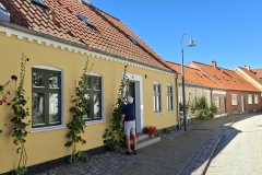 20250817-143-Saeby-stokrozen-en-gele-huizen