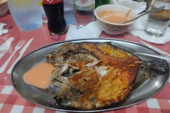 20230514-40-Djibouti-poisson-fraiche-du-mer