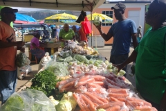 20240127-103-Roseau-saturday-market