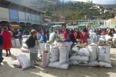 1_P1120771-Alausi-zondagmarkt