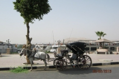 IMG_3463-Luxor-Corniche