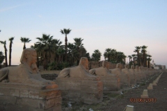 IMG_3699-Luxor-tempel