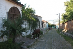 IMG_0638-El-Salvador-Sochitoto