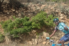20230523-148-Eritrean-cyclists