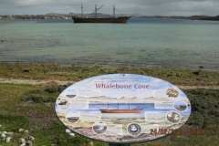 IMG_2174-Whalebone-Cove