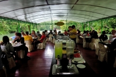 DSC_5381-Loboc-River-cruise-Bohol