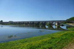 P1110261-Beaugency