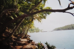 11-Duivelseilanden-Ile-Royale