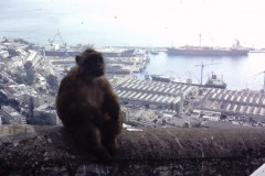 35-01-Gibraltar-haven