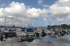 20240128-2-Yacht-harbour-Pointe-a-Pitre