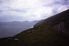 1_54-07-Inch-Kerry-kust-van-Dingle