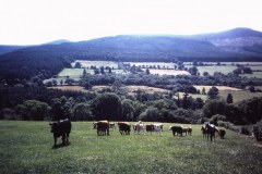 1_56-26-Glencree-Wicklow-landschap