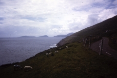 54-07-Inch-Kerry-kust-van-Dingle