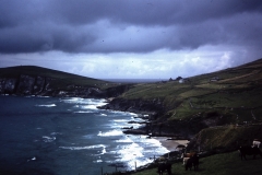 54-11-Dunquin-Kerry-Slea-Head