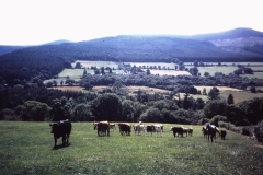 56-26-Glencree-Wicklow-landschap