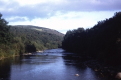 56-34-Ballinaclash-Wicklow-Meeting-of-the-Waters