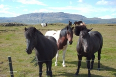 HPIM1440-Omgeving-Gulfoss