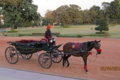 IMG_1617-Jaipur-Rambagh-Palace