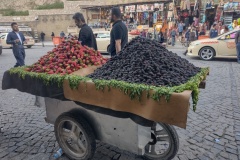 20220324-65-Erbil-strawberries-ans-mulberries