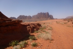 P1080439-Wadi-Rum