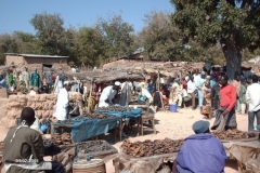 HPIM0408-Markt-in-Tourou