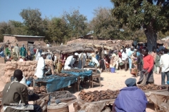 HPIM0408-Markt-in-Tourou