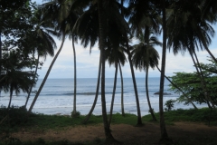 IMG_1261-Kribi