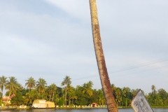 20240711-28-Ydillic-view-in-Kerala