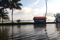 20240712-49-Backwaters-and-rice-paddies