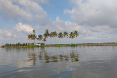20240712-63-Kerala-Backwaters