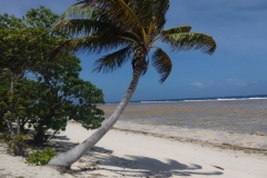 20250202-134-Beach-at-Ocean-Breeze-Bungalows