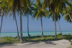 20250205-164-Abaiangs-beautiful-coastline