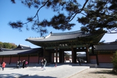 P1010047-Changdeokgung-Palace-close-to-my-hostel