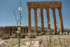 2022062-70A-Baalbeck-Temple-of-Jupiter