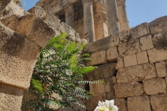 20220628-50-Baalbeck