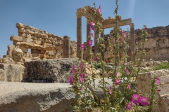 20220628-93-Baalbeck