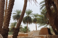 20230905-123-Ghadames-oase