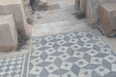 20230909-365-Sabratha-mozaieken