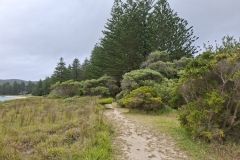 20251109-15-Excellent-marked-track-northbound