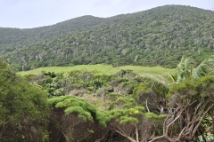 20251109-30-Old-Settlement-Beach
