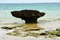 20251109-41-Mushroom-rock-at-Flagstaff