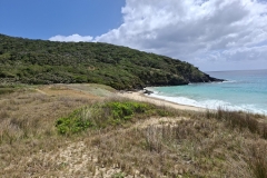 20251110-69-Blinky-Beach