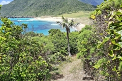 20251110-83-Walking-back-to-Blinky-Beach