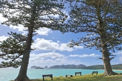 20251110-98-Two-Pines-restplace