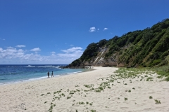 20251111-104-Neds-Beach