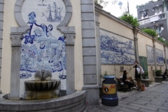 P1000795-Ceramic-Portuguese-wall